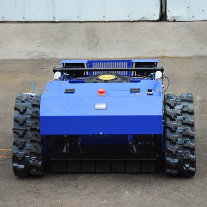 RLM-01 RC Lawn Mower