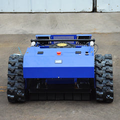 RLM-01 RC Lawn Mower